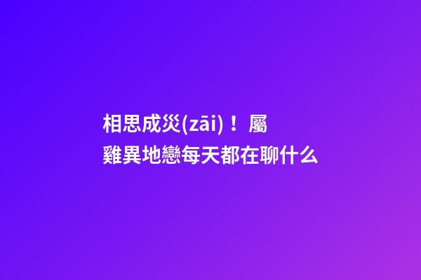 相思成災(zāi)！屬雞異地戀每天都在聊什么